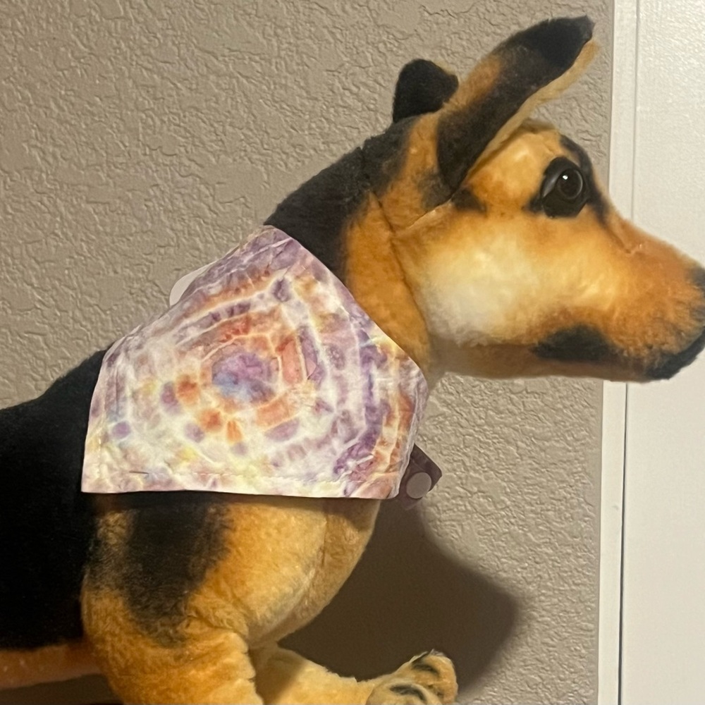 Hand dyed pet bandana
